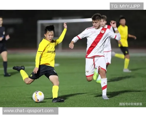 白岩松对足球的热爱与见解探讨以及他在足球领域的独特观点